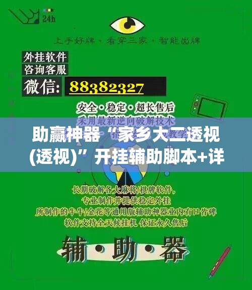 助赢神器“家乡大二透视(透视)”开挂辅助脚本+详细开挂安装教程