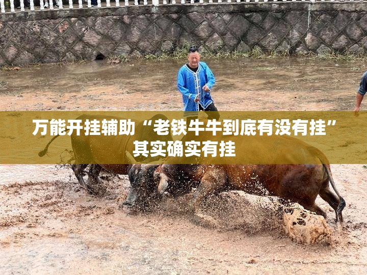 万能开挂辅助“老铁牛牛到底有没有挂”其实确实有挂