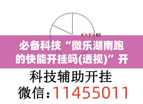 必备科技“微乐湖南跑的快能开挂吗(透视)”开挂辅助脚本+详细开挂安装教程