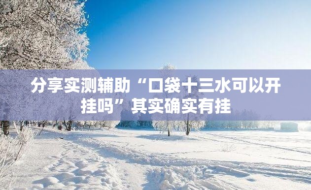 分享实测辅助“口袋十三水可以开挂吗”其实确实有挂