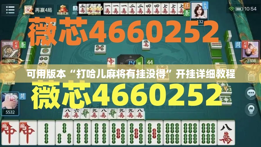 可用版本“打哈儿麻将有挂没得”开挂详细教程