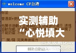 实测辅助“心悦填大坑辅助”详细外挂透视辅助软件教程