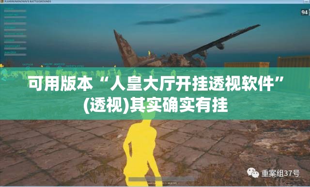 可用版本“人皇大厅开挂透视软件”(透视)其实确实有挂