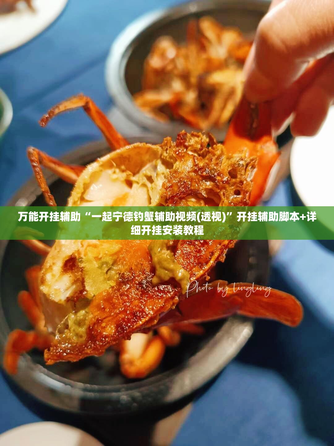 万能开挂辅助“一起宁德钓蟹辅助视频(透视)”开挂辅助脚本+详细开挂安装教程