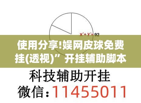 使用分享!娱网皮球免费挂(透视)”开挂辅助脚本+详细开挂安装教程