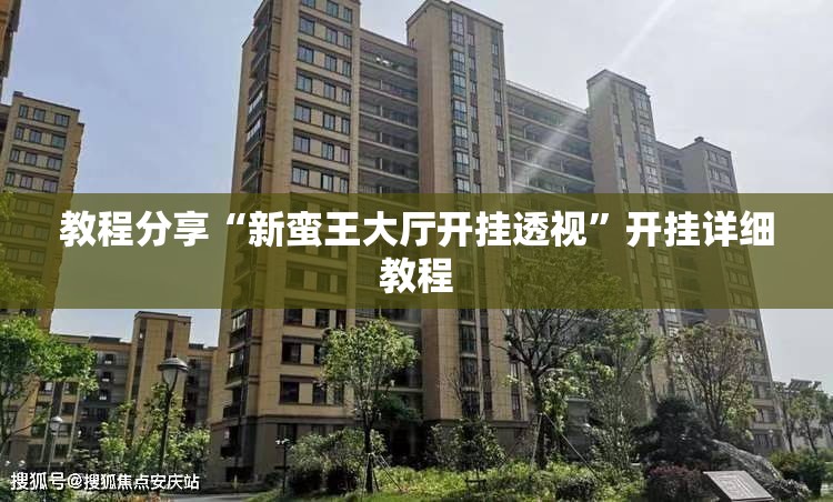 教程分享“新蛮王大厅开挂透视”开挂详细教程