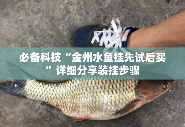必备科技“金州水鱼挂先试后买”详细分享装挂步骤