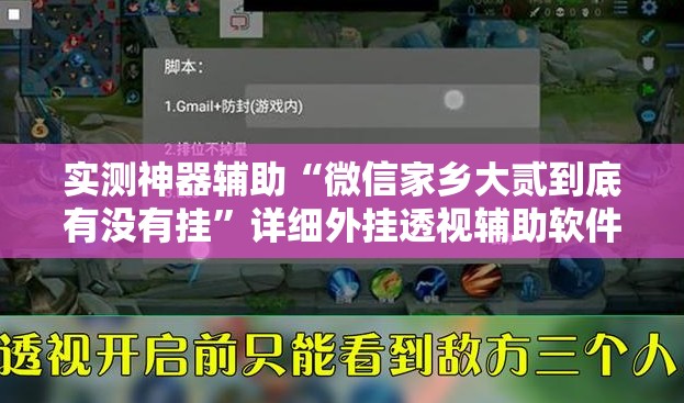 实测神器辅助“微信家乡大贰到底有没有挂”详细外挂透视辅助软件教程