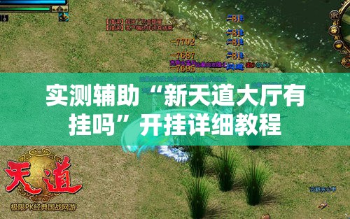 实测辅助“新天道大厅有挂吗”开挂详细教程