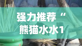 强力推荐“熊猫水水13张有挂嘛”(透视)其实确实有挂