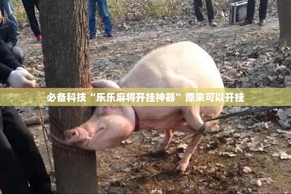 必备科技“乐乐麻将开挂神器”原来可以开挂