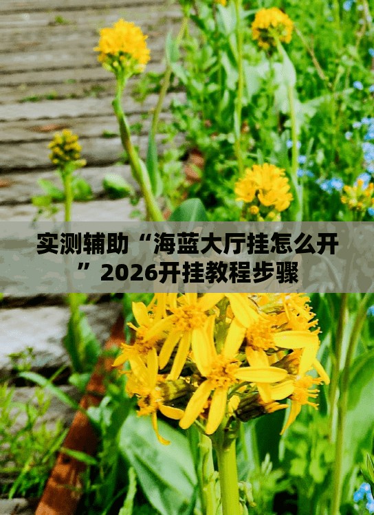 实测辅助“海蓝大厅挂怎么开	”2026开挂教程步骤