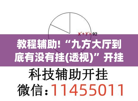教程辅助!“九方大厅到底有没有挂(透视)”开挂辅助脚本+详细开挂安装教程