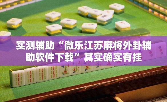 实测辅助“微乐江苏麻将外卦辅助软件下载”其实确实有挂