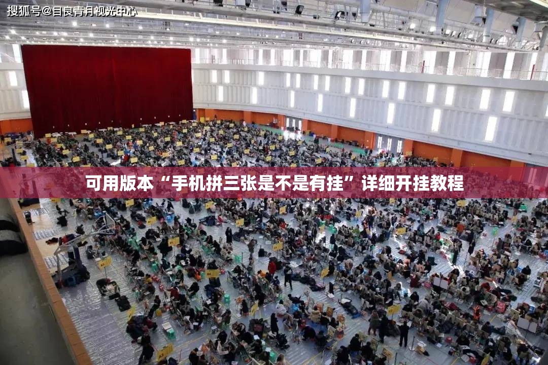 可用版本“手机拼三张是不是有挂”详细开挂教程