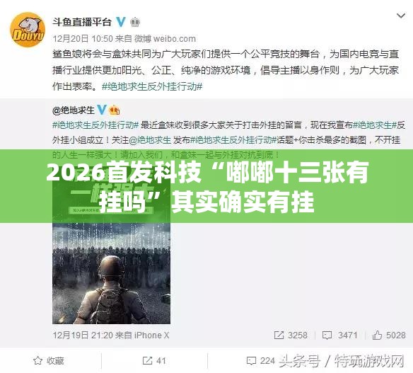 2026首发科技“嘟嘟十三张有挂吗”其实确实有挂