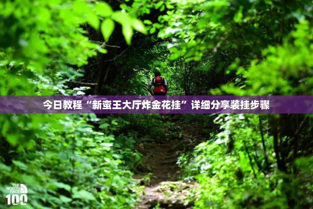 今日教程“新蛮王大厅炸金花挂”详细分享装挂步骤