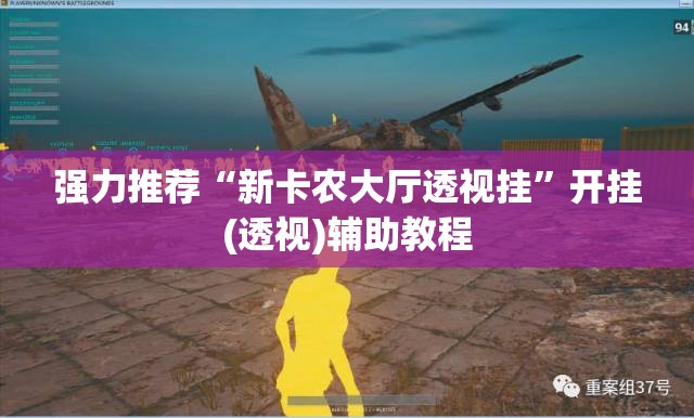 强力推荐“新卡农大厅透视挂”开挂(透视)辅助教程
