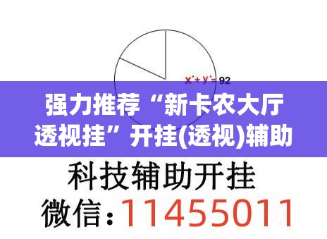 强力推荐“新卡农大厅透视挂”开挂(透视)辅助教程