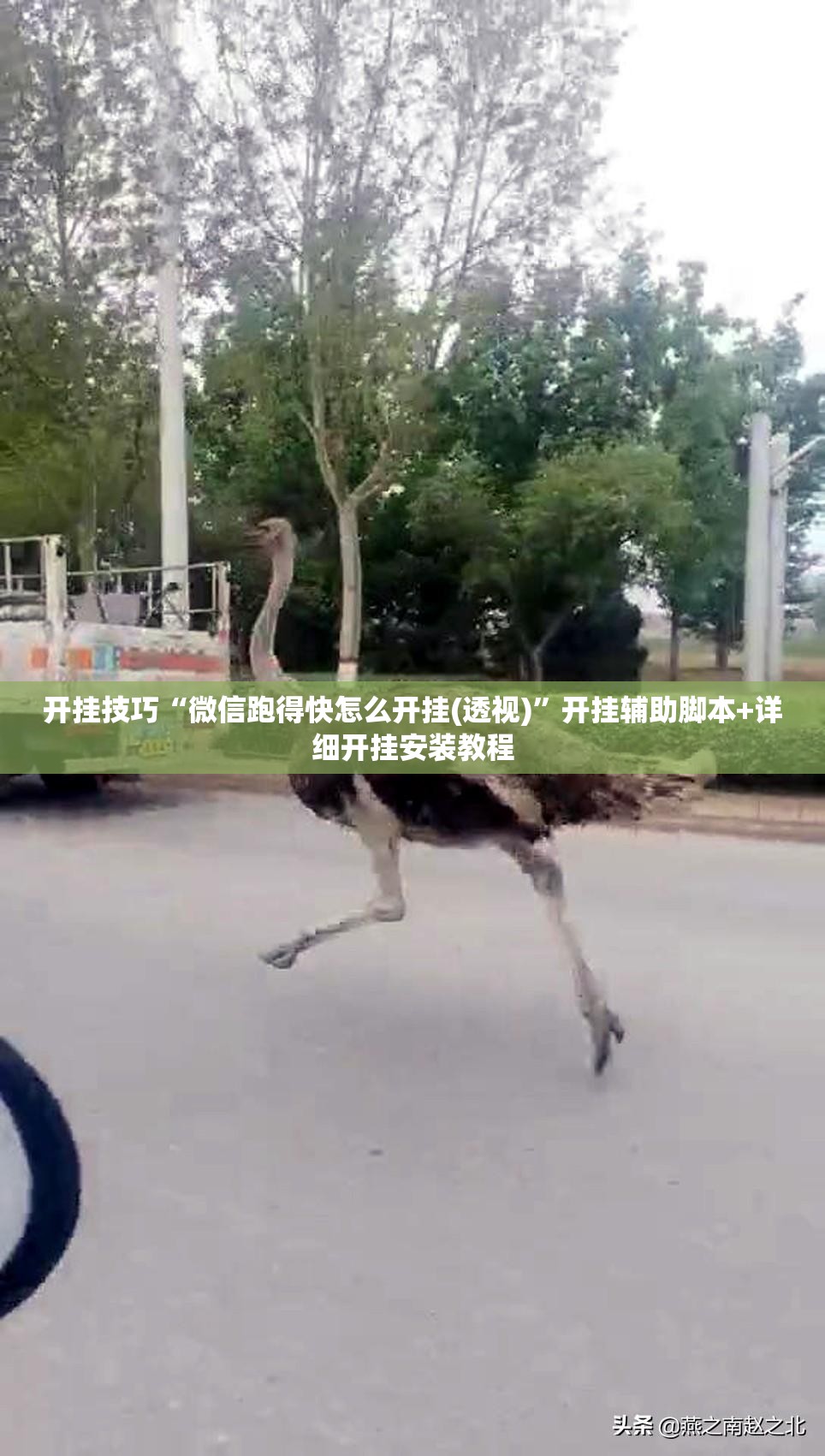 开挂技巧“微信跑得快怎么开挂(透视)”开挂辅助脚本+详细开挂安装教程
