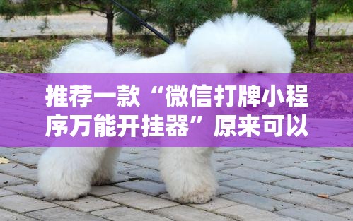 推荐一款“微信打牌小程序万能开挂器”原来可以开挂