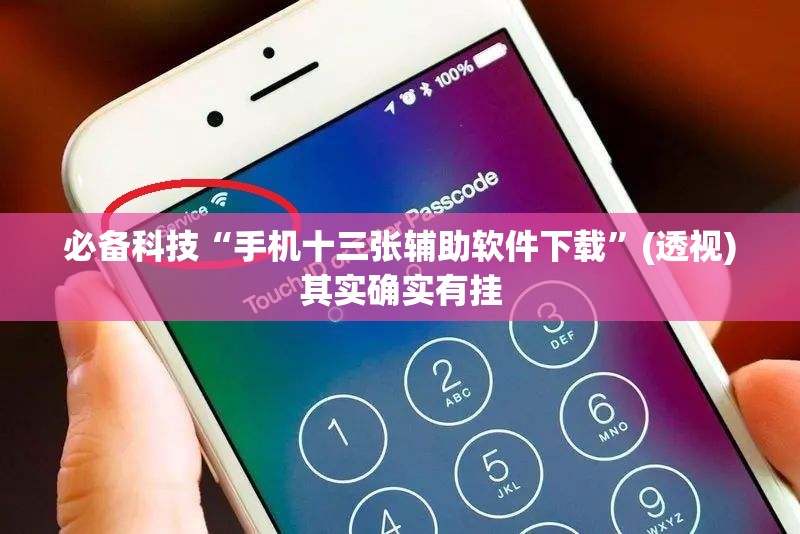 必备科技“手机十三张辅助软件下载”(透视)其实确实有挂