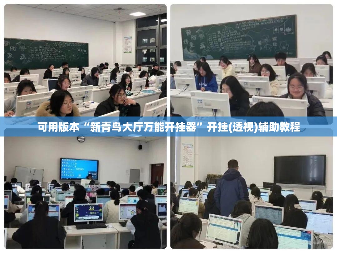 可用版本“新青鸟大厅万能开挂器”开挂(透视)辅助教程