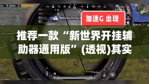 推荐一款“新世界开挂辅助器通用版”(透视)其实确实有挂