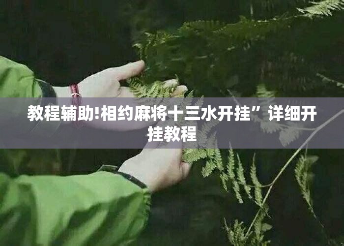 教程辅助!相约麻将十三水开挂”详细开挂教程