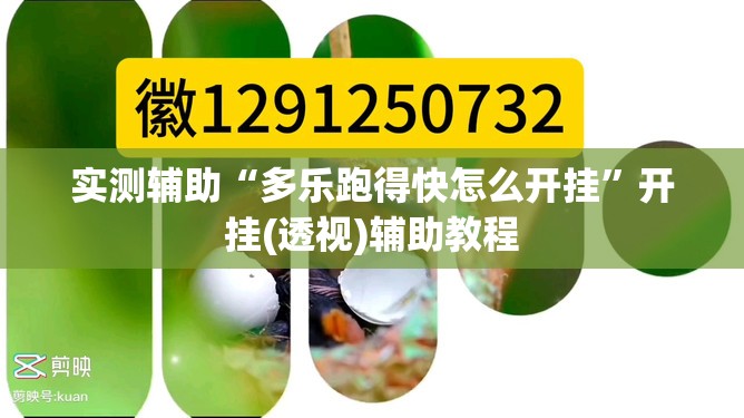 实测辅助“多乐跑得快怎么开挂”开挂(透视)辅助教程