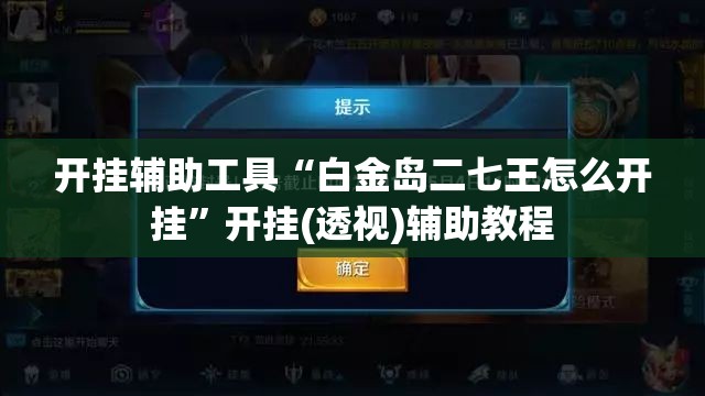 开挂辅助工具“白金岛二七王怎么开挂”开挂(透视)辅助教程