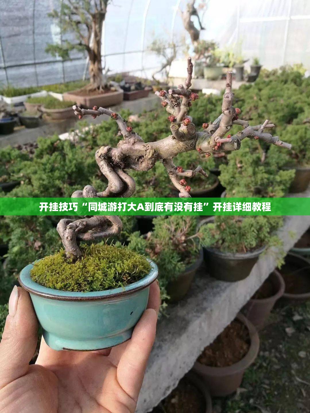 开挂技巧“同城游打大A到底有没有挂”开挂详细教程