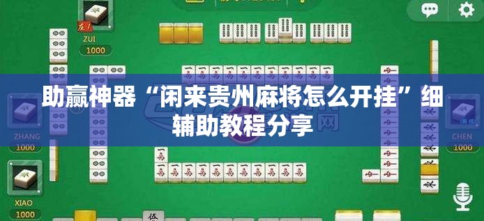 助赢神器“闲来贵州麻将怎么开挂”细辅助教程分享
