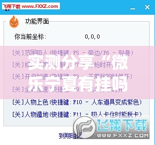实测分享“微乐宁夏有挂吗”(透视挂)辅助下载教程