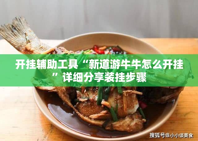 开挂辅助工具“新道游牛牛怎么开挂”详细分享装挂步骤
