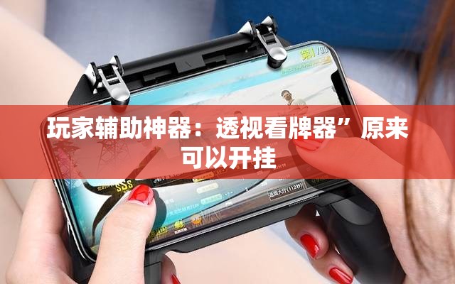 玩家辅助神器：透视看牌器	”原来可以开挂