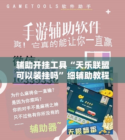 辅助开挂工具“天乐联盟可以装挂吗”细辅助教程分享