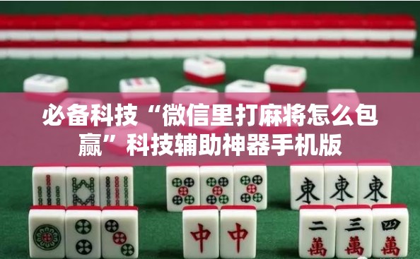 必备科技“微信里打麻将怎么包赢”科技辅助神器手机版