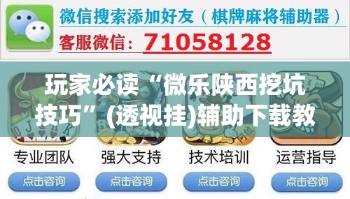 玩家必读“微乐陕西挖坑技巧”(透视挂)辅助下载教程