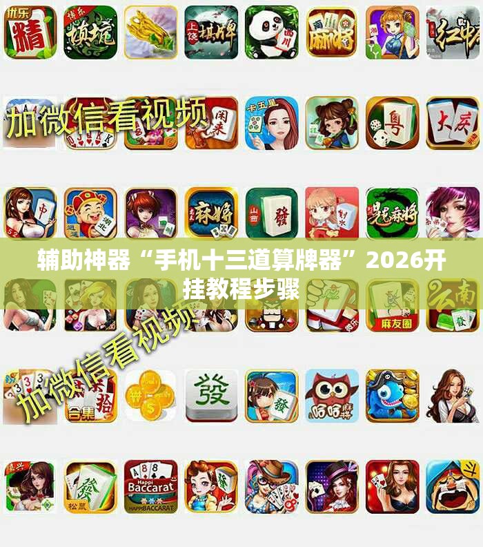 辅助神器“手机十三道算牌器”2026开挂教程步骤