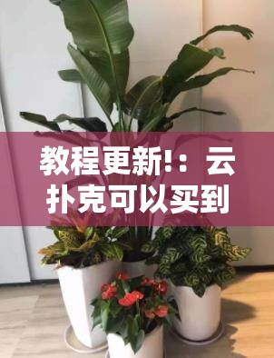 教程更新!：云扑克可以买到挂吗”细辅助教程分享