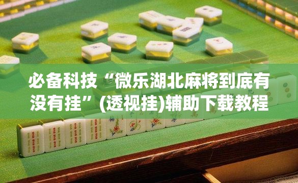 必备科技“微乐湖北麻将到底有没有挂”(透视挂)辅助下载教程