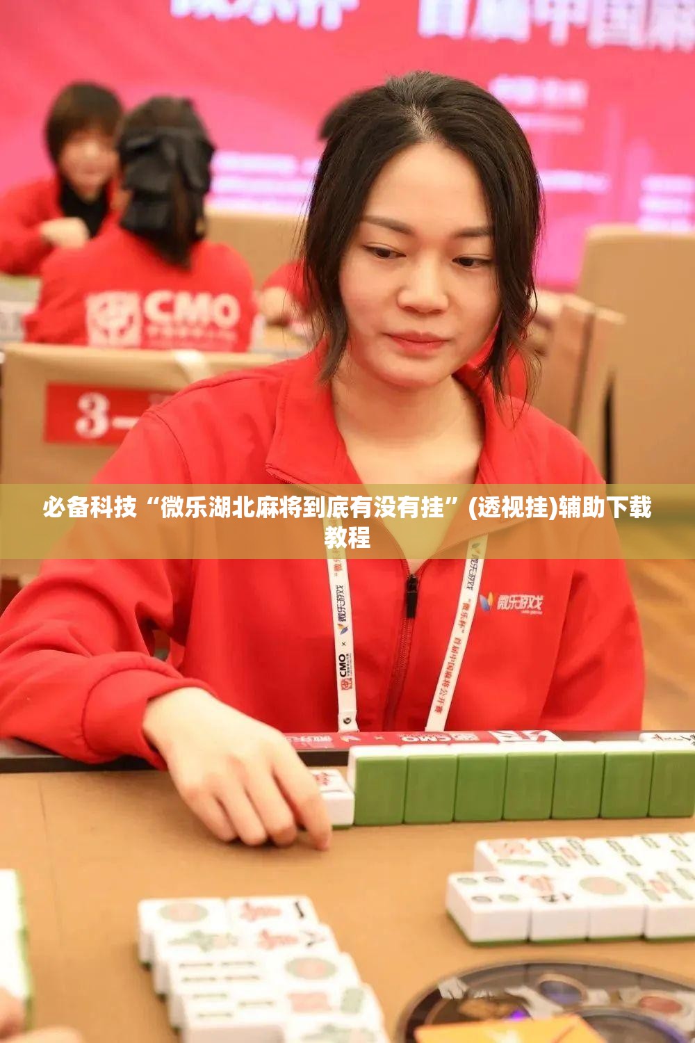 必备科技“微乐湖北麻将到底有没有挂”(透视挂)辅助下载教程