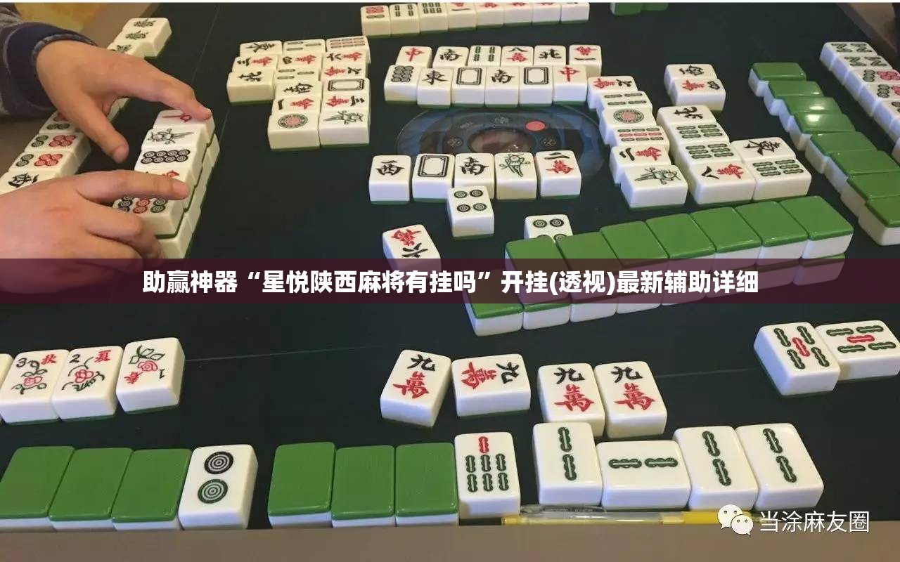 助赢神器“星悦陕西麻将有挂吗”开挂(透视)最新辅助详细