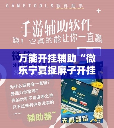 万能开挂辅助“微乐宁夏捉麻子开挂免费下载安装”详细开挂教程