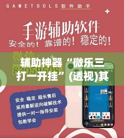 辅助神器“微乐三打一开挂”(透视)其实确实有挂