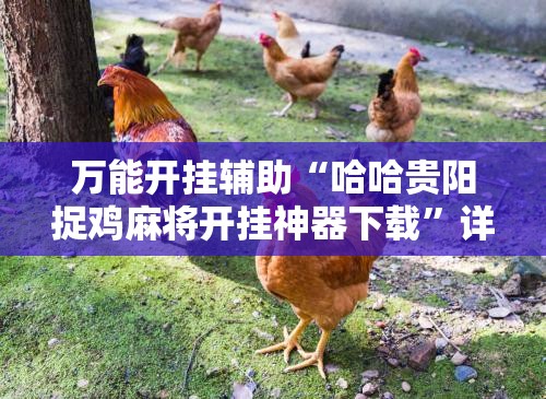 万能开挂辅助“哈哈贵阳捉鸡麻将开挂神器下载”详细分享装挂步骤