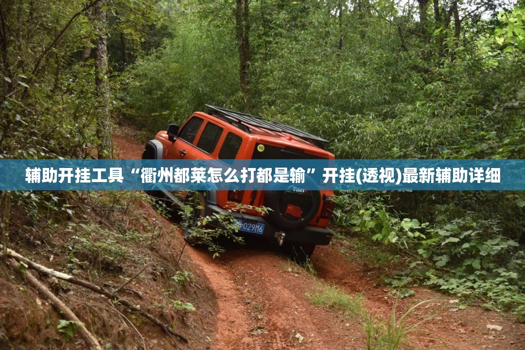 辅助开挂工具“衢州都莱怎么打都是输”开挂(透视)最新辅助详细