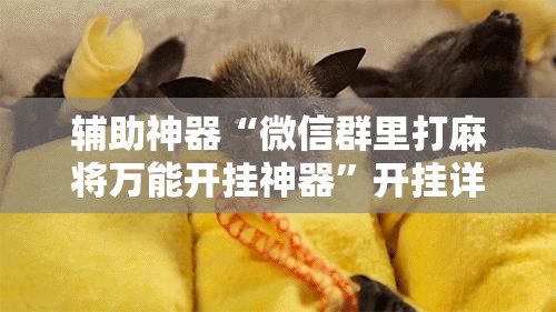 辅助神器“微信群里打麻将万能开挂神器”开挂详细教程