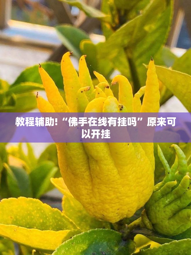 教程辅助!“佛手在线有挂吗	”原来可以开挂